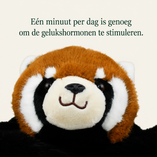 Hugsy - Verzwaringsknuffel voor Rust en Geborgenheid